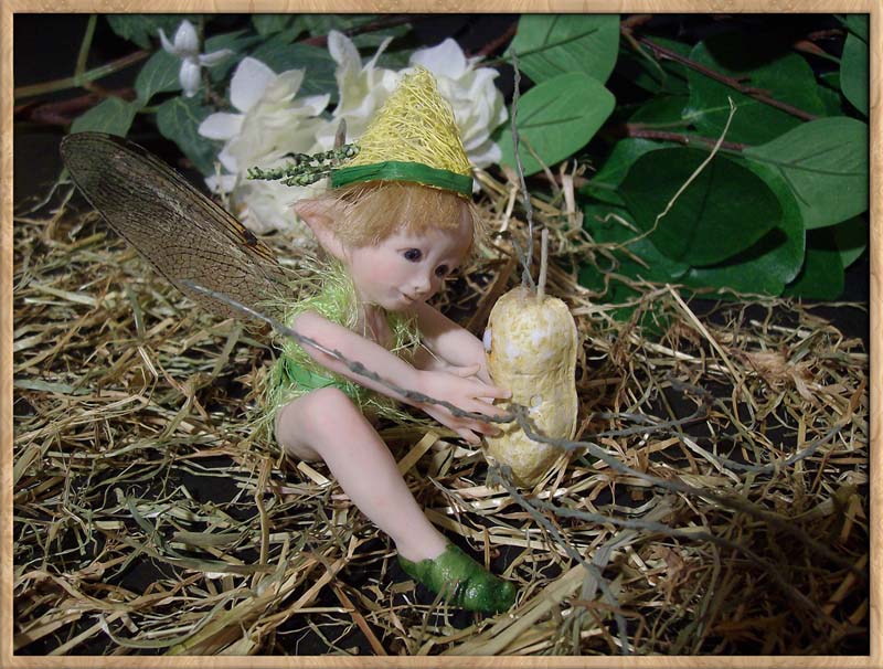 Baby Fairie Peo & Nut